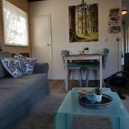 Chalet Gaasterland Bos-Ijsselmeer 4 Pers. Rijs Eksteriør bilde